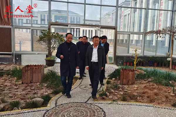 热烈欢迎泰安市副市长马保文莅临芝人堂调研指导工作