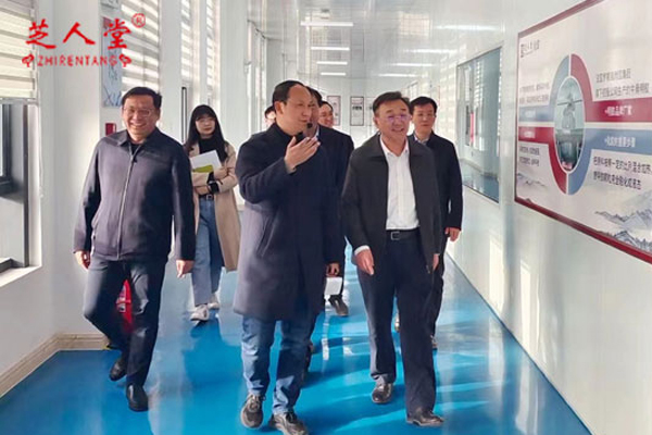 热烈欢迎泰安市副市长马保文莅临芝人堂调研指导工作