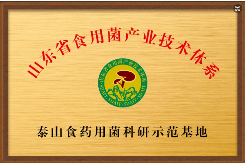  2022年7月14日获得“泰山食药用菌科研示范基地”