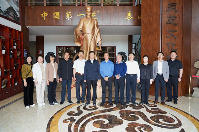 泰安市政协考察团莅临芝人堂调研新质生产力(图3)