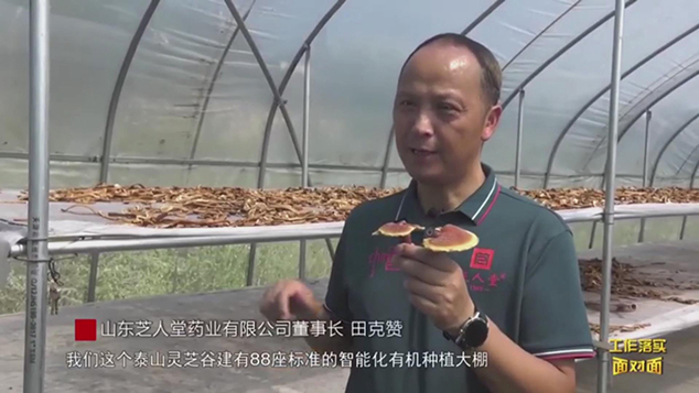 泰安电视台报道芝人堂：科技赋能道地药材 小小灵芝撑起致富伞