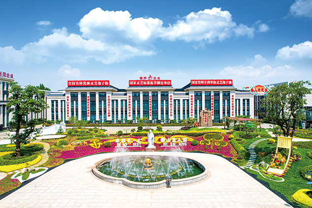 芝人堂泰山灵芝谷基地获评全省标准化道地药材生产基地(图4) 芝人堂新貌 202510.jpg