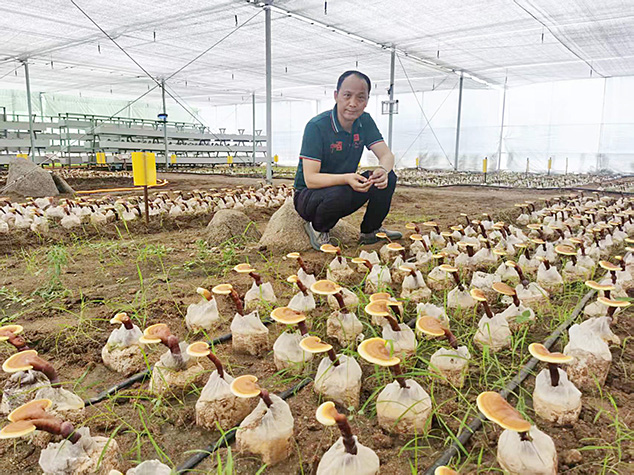 热烈祝贺芝人堂董事长田克赞荣任山东省食用菌协会副会长(图2) 微信图片_20251104143416_172_11.jpg